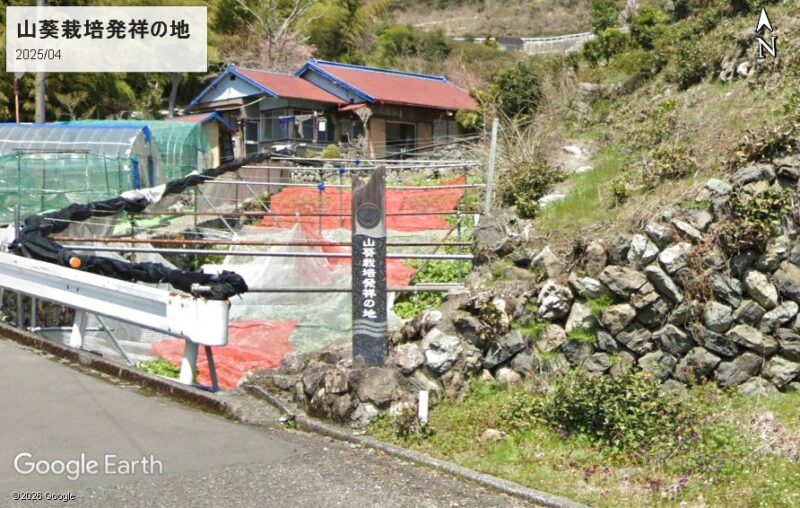 山葵栽培発祥の地