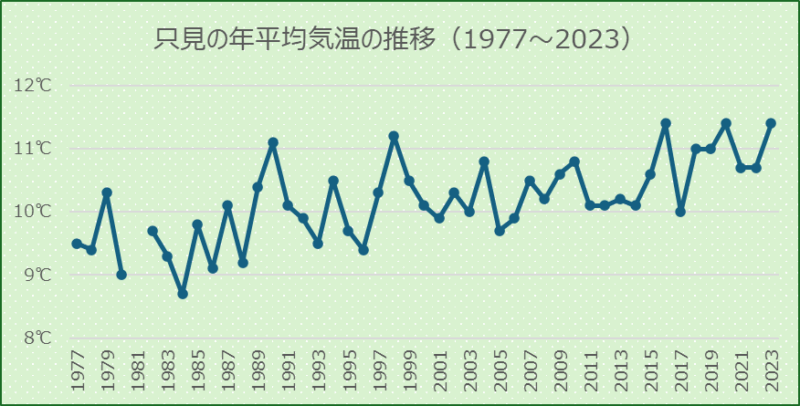 只見の年平均気温の推移