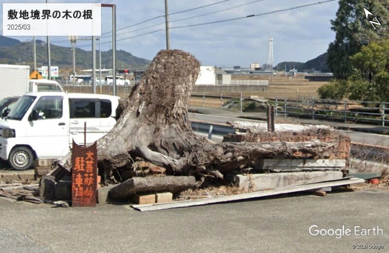 駐車場境界の切り株